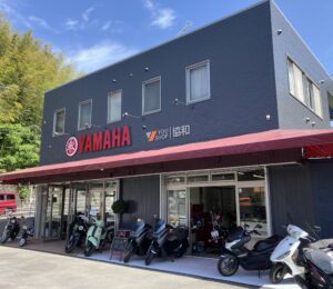 6月のお休み
